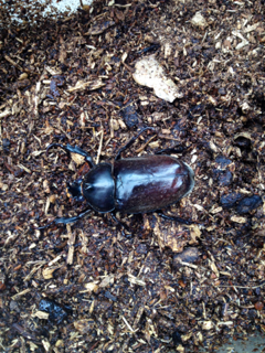 image-20120716112144.png