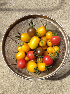 image-20120717095220.png
