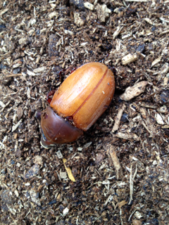image-20120720100944.png