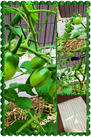 image-20130613072552.png